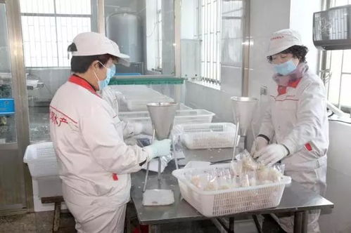 辽宁礼物丨滢辉海蜇 来自营口农博会的海洋馈赠