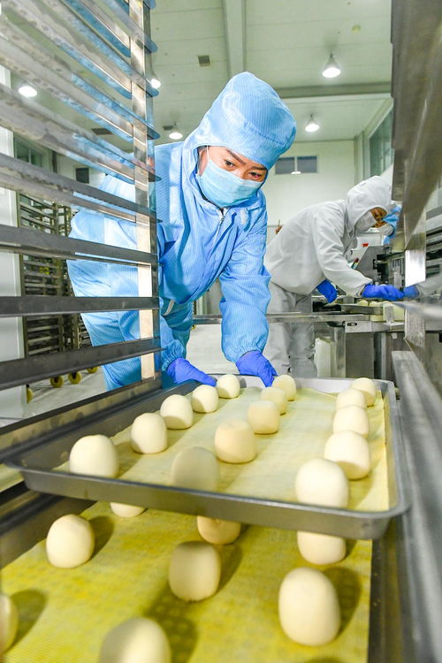 农产品特色加工业 激活乡村经济，铺就农民致富新路径