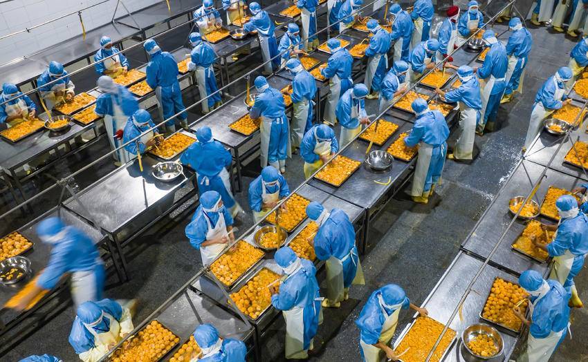 秭归柑橘深加工出口生产忙，农产品价值链再升级